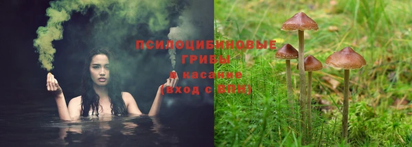 а пвп мука Алзамай