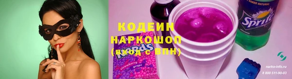 крисы Армянск