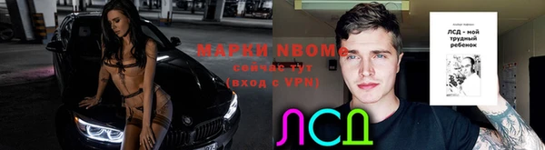 крисы Армянск