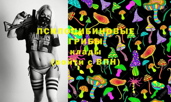бошки Аркадак