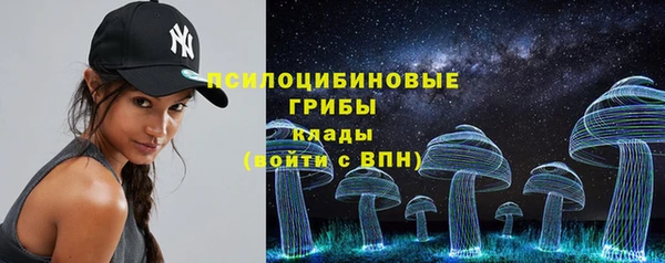 бошки Аркадак