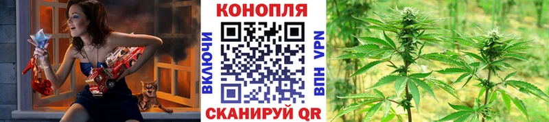 купить наркоту  Кологрив  Шишки марихуана VHQ 